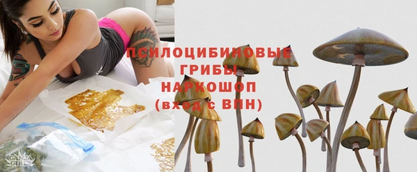 a pvp Ачинск