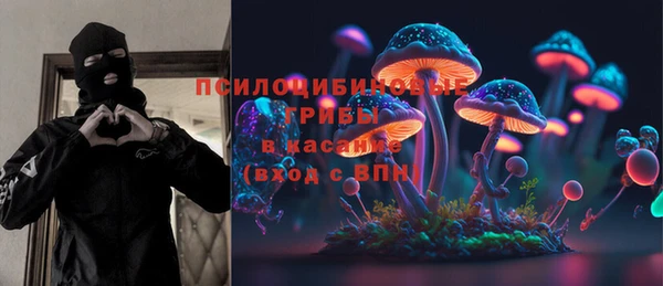 PSILOCYBIN Бердск