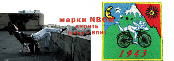 соль ск Артём