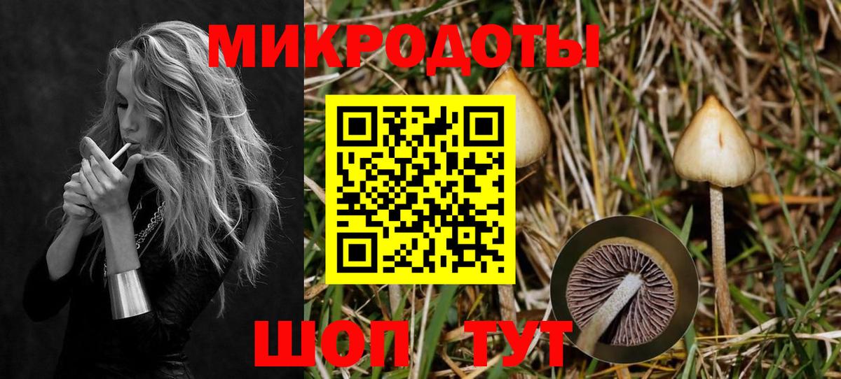 Псилоцибиновые грибы Cubensis Карасук