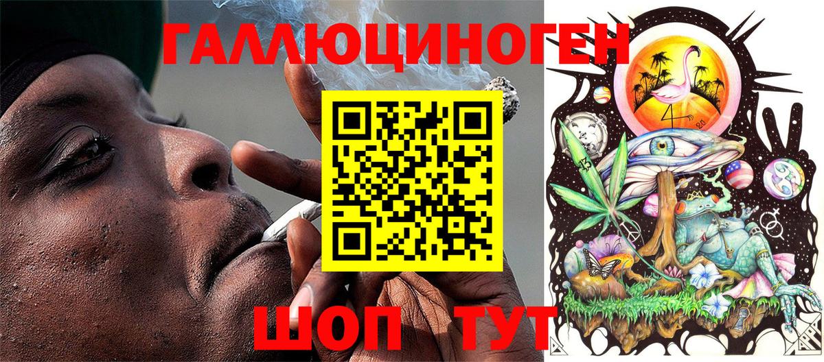 даркнет сайт  Псилоцибиновые грибы Cubensis  Вход с VPN  Карасук 